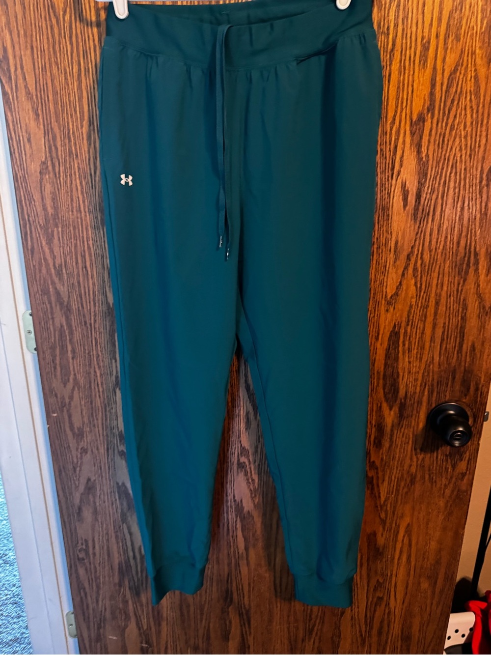 Under Armour Teal Jogger Pants